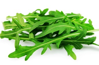 Rucola